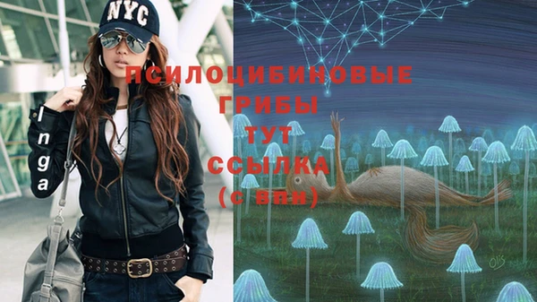 ГАЛЛЮЦИНОГЕННЫЕ ГРИБЫ Алексин