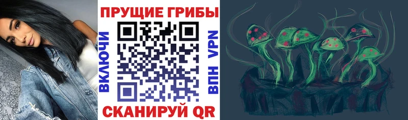 Галлюциногенные грибы прущие грибы  Хвалынск 